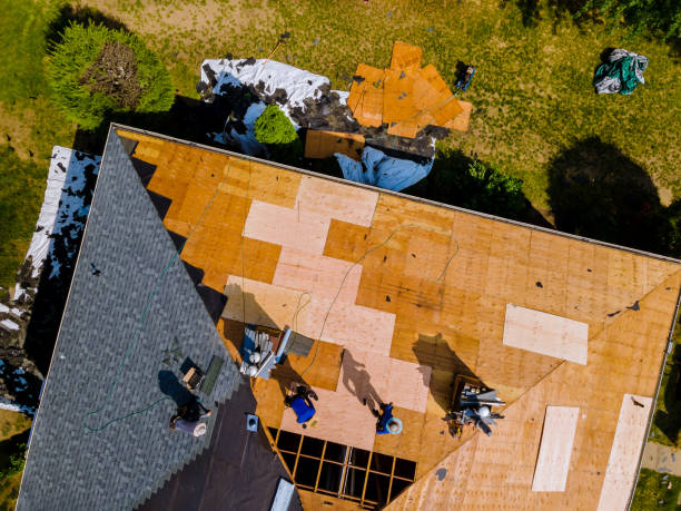 Best Storm Damage Roof Repair  in Mount Sterling, IL