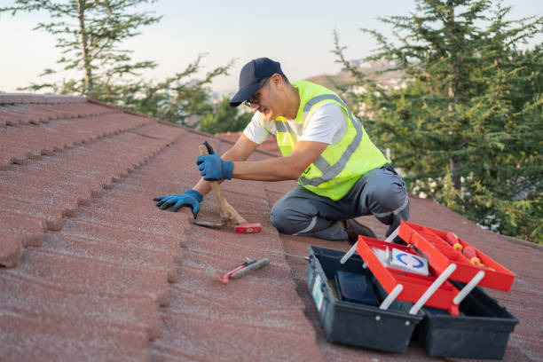 Best Roof Leak Repair  in Mount Sterling, IL
